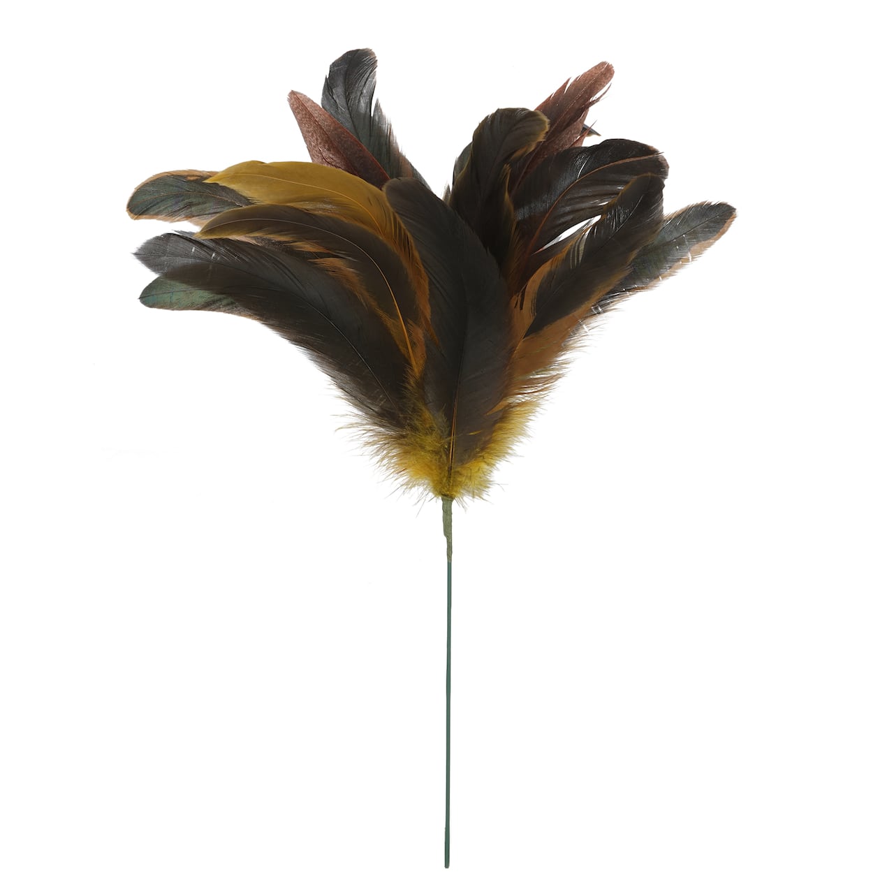 Gold Pheasant Feather Pick by Ashland®